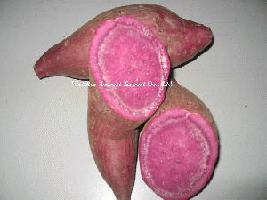 Sweet Potato